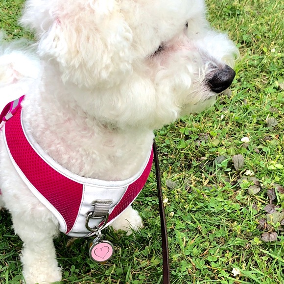 ????Meet Seller??I ? fashionable clothes????? - Picture 2 of 4